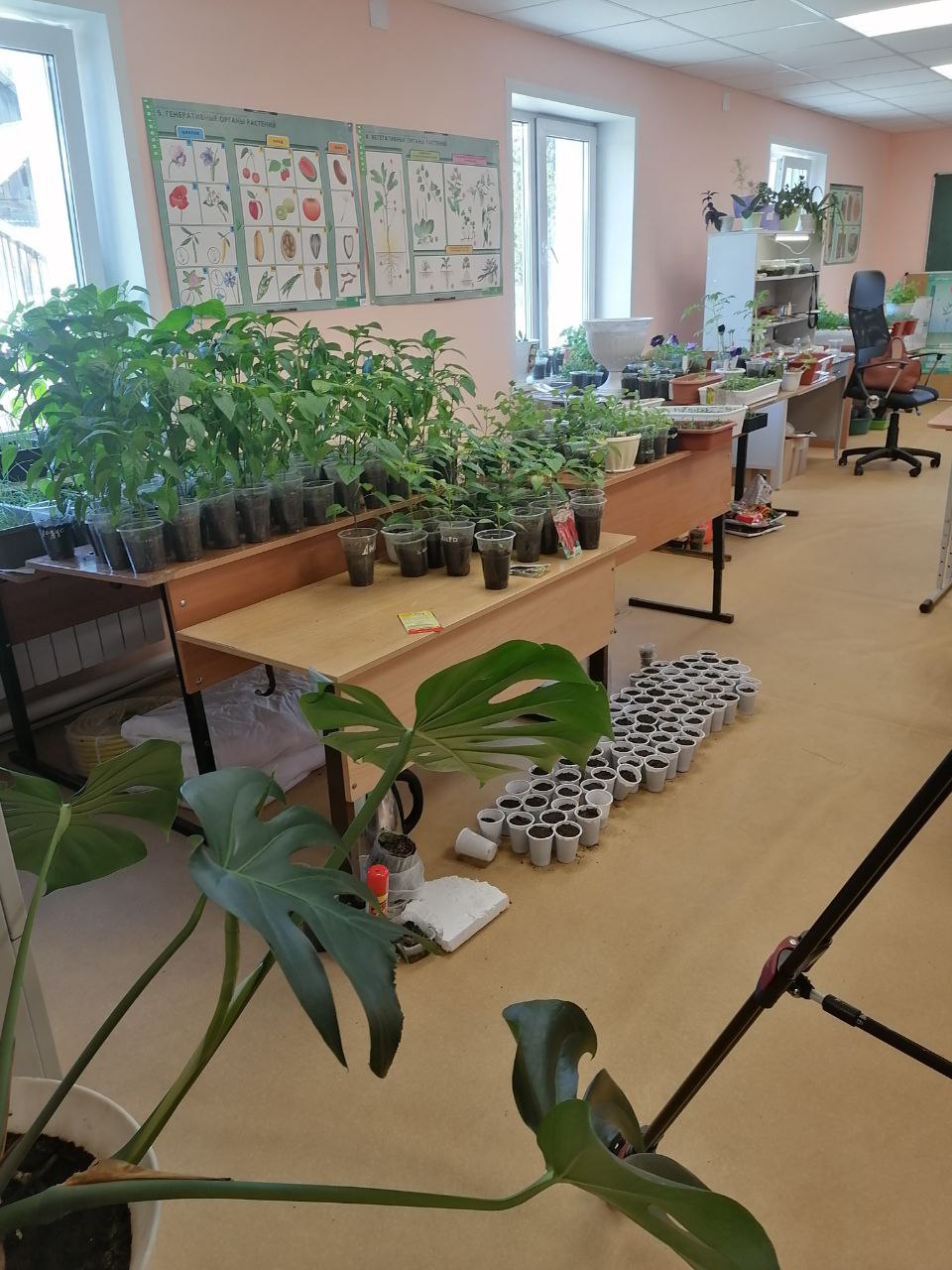 Цветоводство.